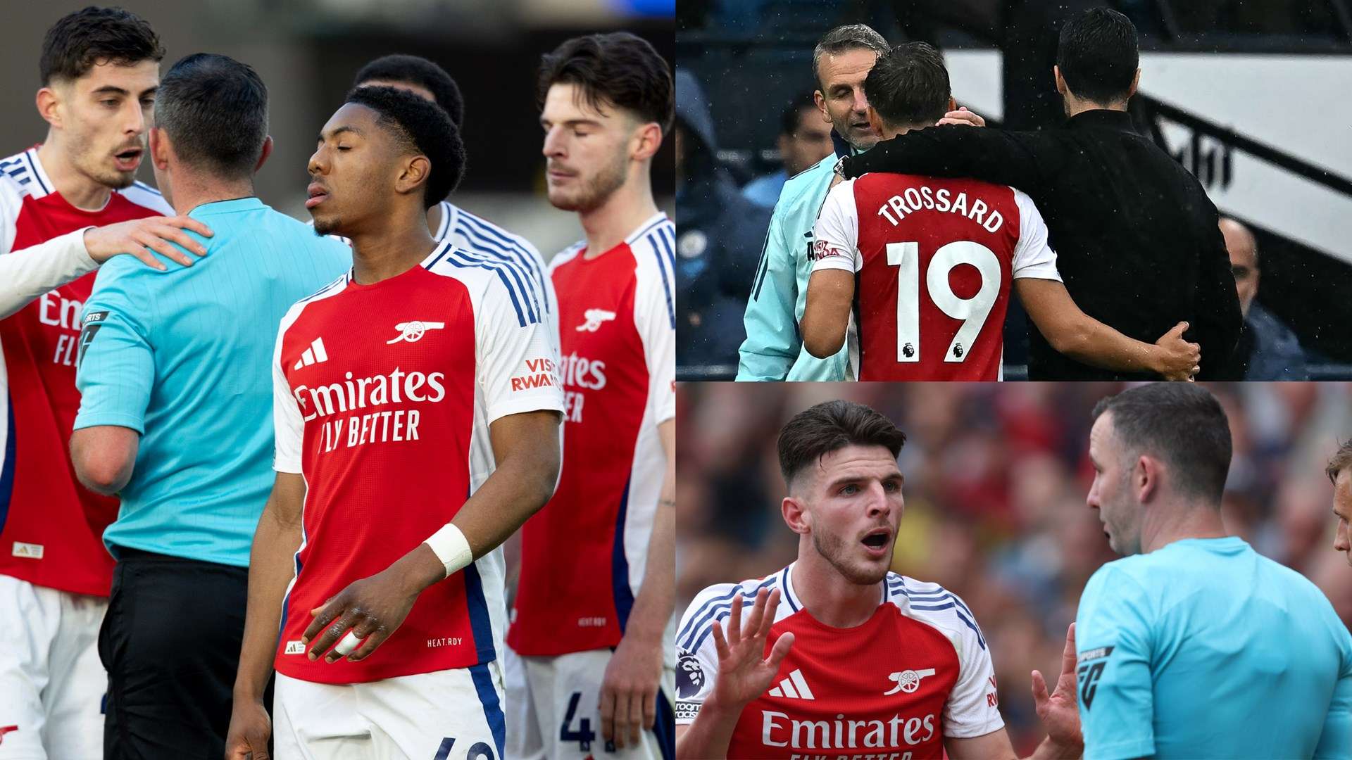 读者能够全 读者能够全